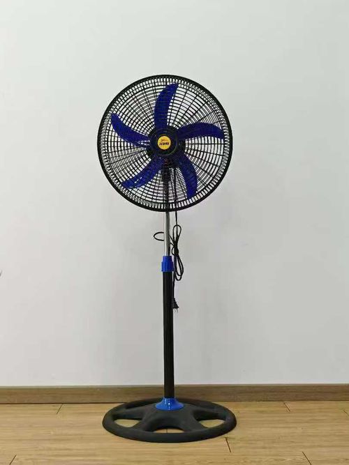 fans