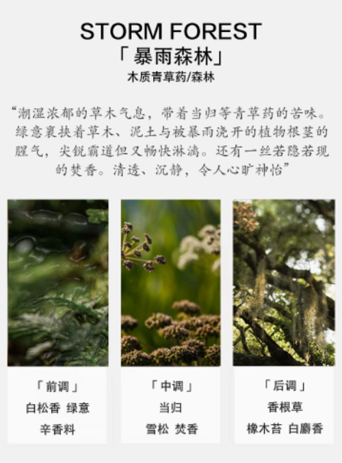 「暴雨森林」潮濕草木與清苦藥香 荼蘼原創雨後空氣泥土清新香水