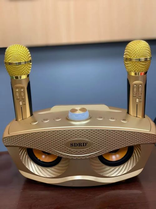 SD306 Home Audio Microphone Integrated Double Chorus Mobile Phone K Song Microphone Wireless Microphone
