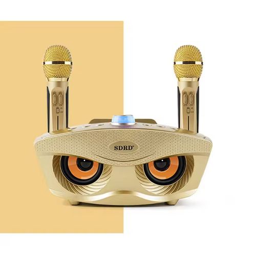 SD306 Home Audio Microphone Integrated Double Chorus Mobile Phone K Song Microphone Wireless Microphone