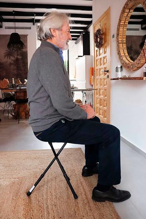 Foldable Chair Cane,