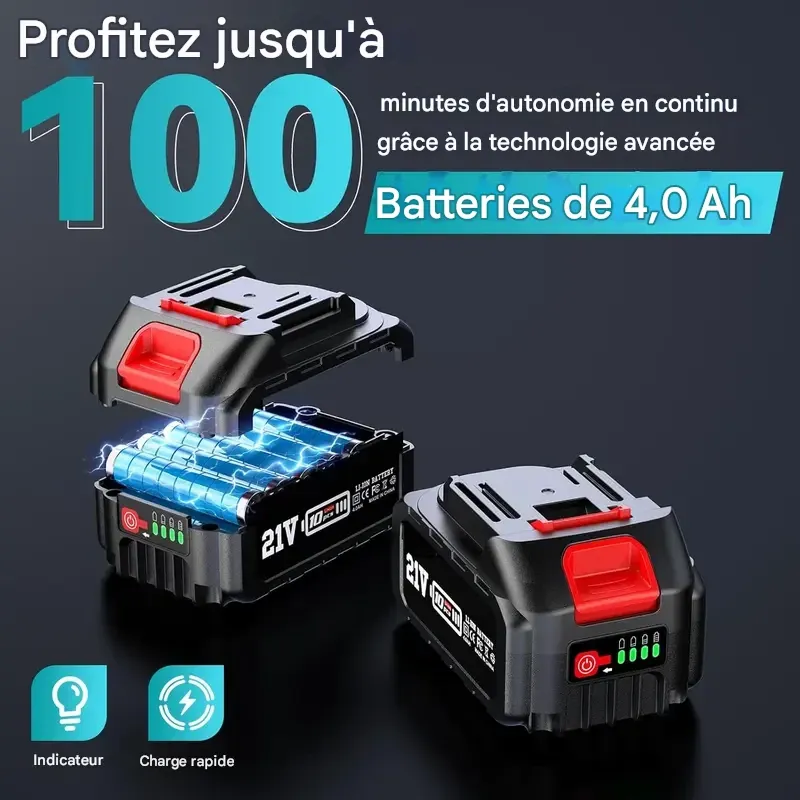 Scie à perche sans fil 2 en 1 SeeSii Power de 20 cm (8 pouces) pour l'élagage d'arbres, avec 2 batteries de 4,0 Ah, tronçonneuse avec rallonge, coupe-branches P8 Ace CS300Pro-APS61 CH800B