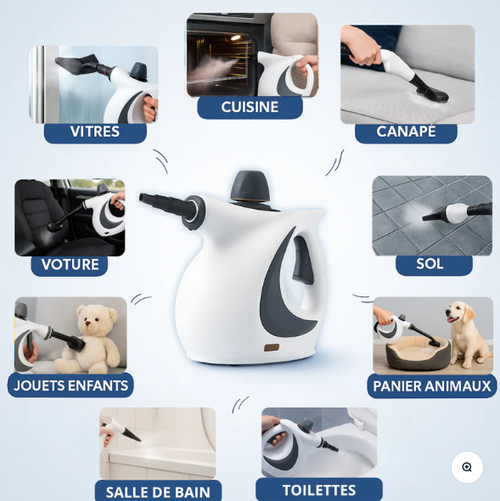 Nettoyeur vapeur haute température et haute pression