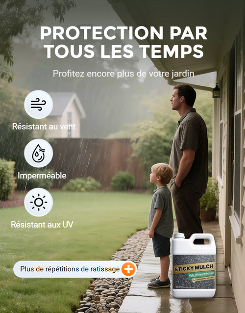 Colle paysage à séchage rapide