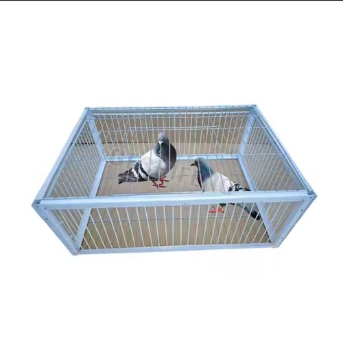 Piège à oiseaux pliable galvanisé pour pigeons sauvages L'entrée à sens unique piège les pigeons dans les cages