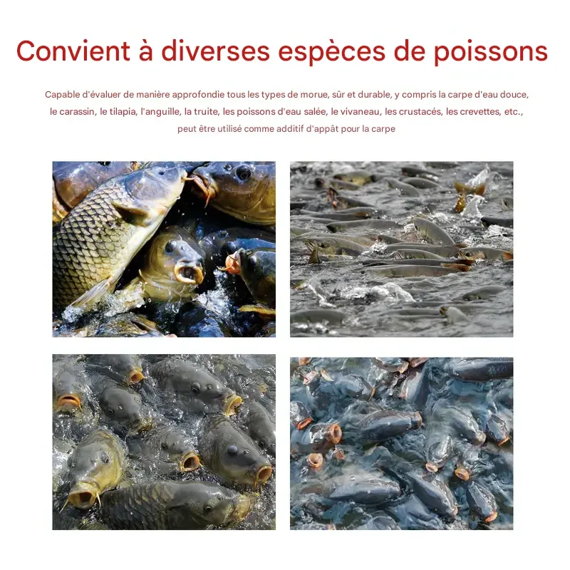 Attractifs pour poissons, appât concentré complet pour la pêche, appât liquide épais à base de vers rouges, agent d'ouverture, 2 unités,