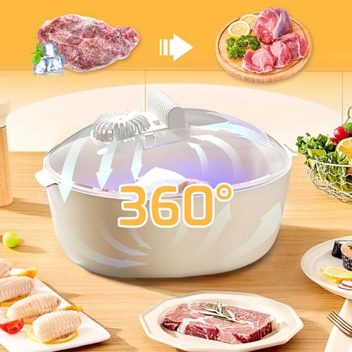 Décongélateur rapide pour aliments🥩❄️ Ne manquez pas cette occasion !
