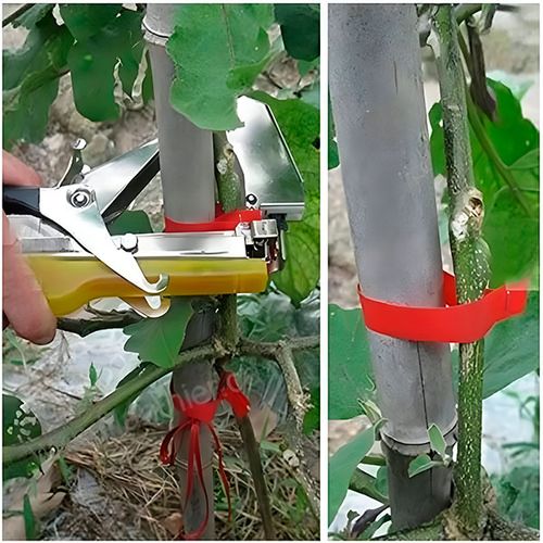 Empileur de plantes professionnel | INCENDIE D'USINE