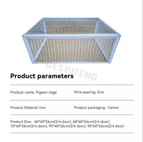 Piège à oiseaux pliable galvanisé pour pigeons sauvages L'entrée à sens unique piège les pigeons dans les cages