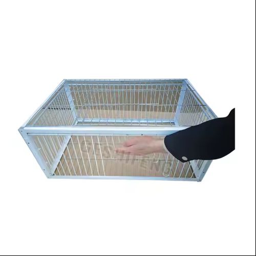 Piège à oiseaux pliable galvanisé pour pigeons sauvages L'entrée à sens unique piège les pigeons dans les cages