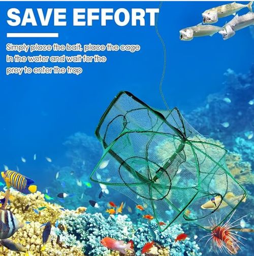 Le piège à pêche pliable magique