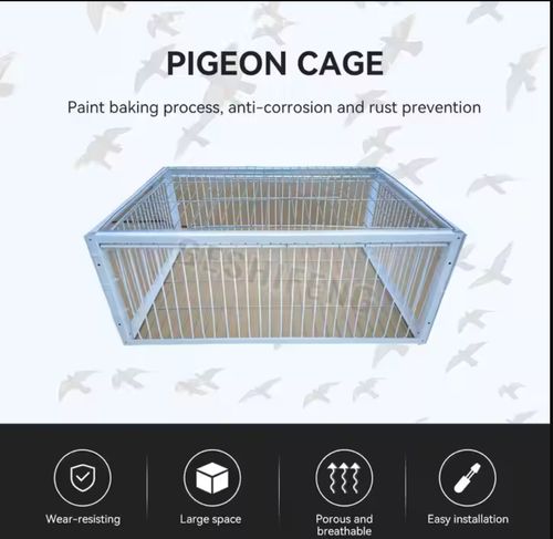 Piège à oiseaux pliable galvanisé pour pigeons sauvages L'entrée à sens unique piège les pigeons dans les cages