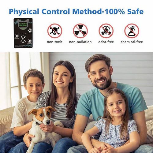 Ultrasonic electronic mouse repeller