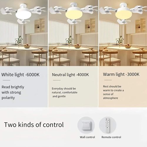 2-in-1 hanging fan light