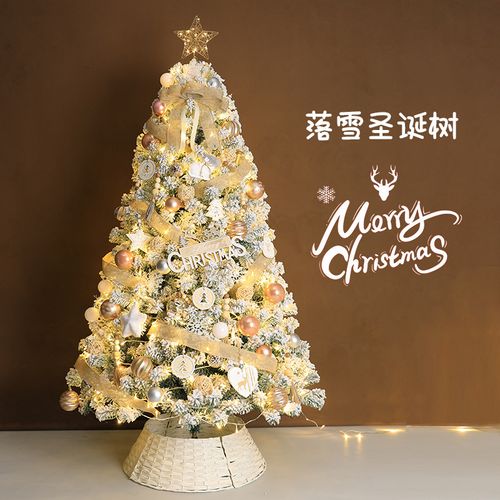 Christmas Tree-Snow Forest