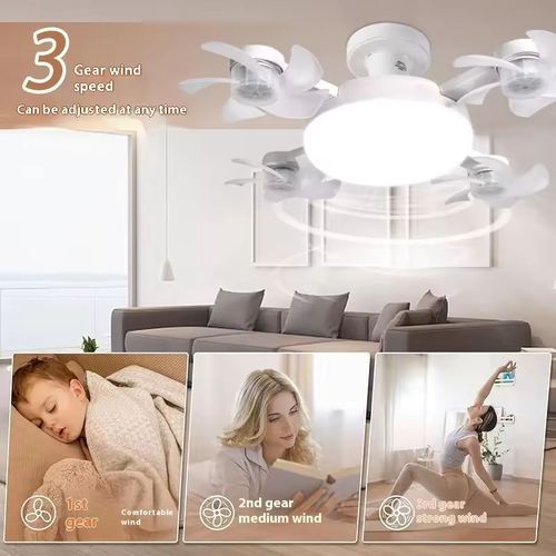 2-in-1 hanging fan light