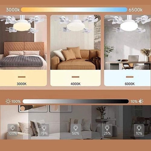 2-in-1 hanging fan light