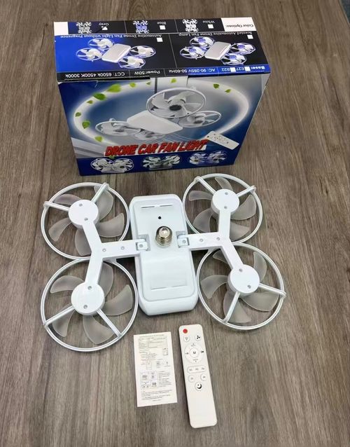 Fan Light