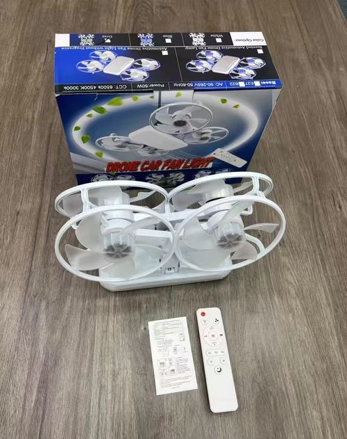 Fan Light