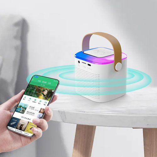 Portable Mini Karaoke Speaker