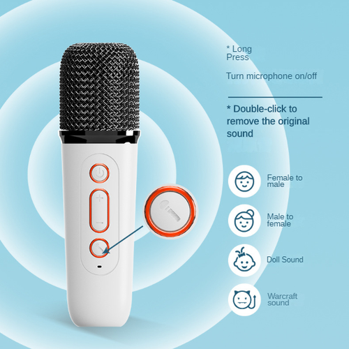 Portable Mini Karaoke Speaker