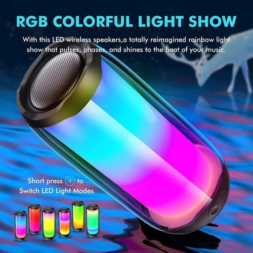 Outdoor Portable Speaker