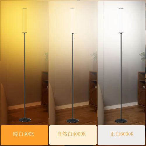 Floor lamp for living room sofa