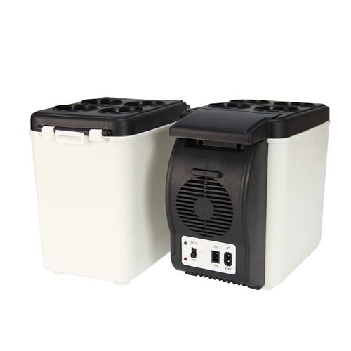 Mini Car Fridge