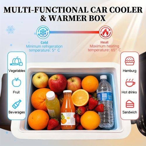 Mini Car Fridge