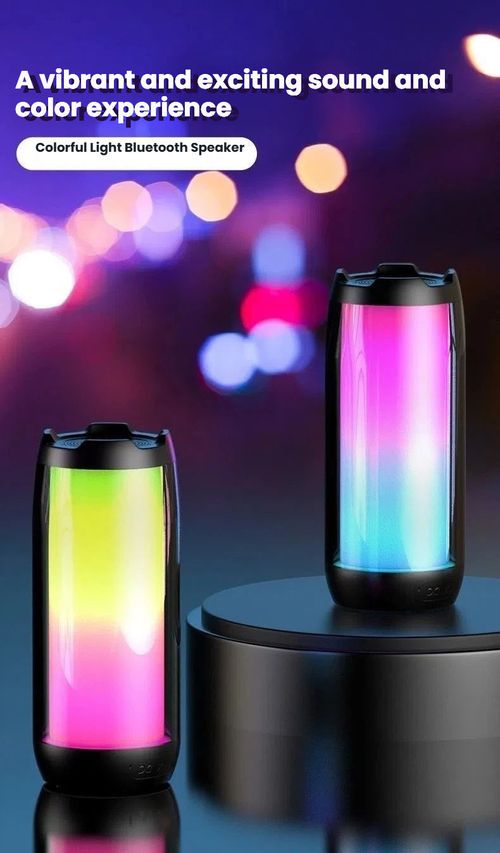 Outdoor Portable Speaker