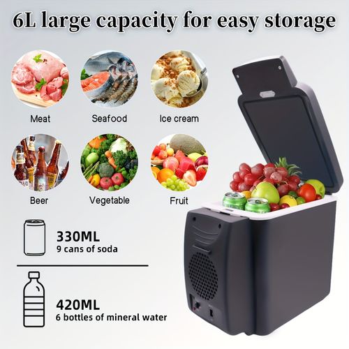 Mini Car Fridge