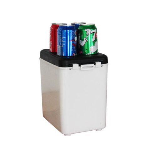 Mini Car Fridge