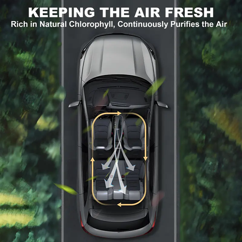 Intelligent Car Aroma
