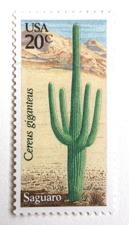 100 Saguaro Cactus Postage Stamps // Unused Vintage Southwestern Desert Cactus Stamps for Mailing
