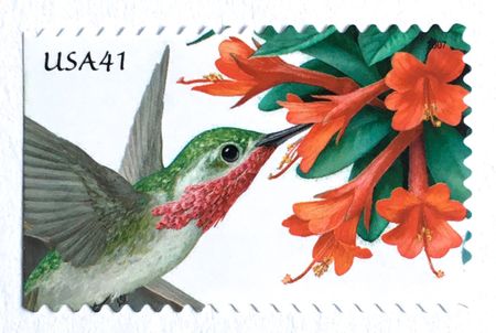 100 Hummingbird Stamps Vintage Unused Botanical Hummingbirds Postage Stamps for Mailing