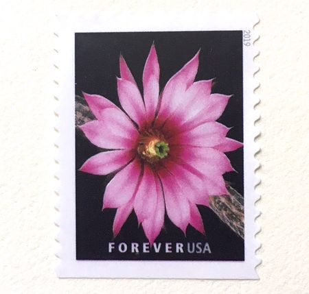 1 Pink Cactus Flower Forever Stamp Pink Desert Flower Postage for Mailing