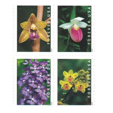 Wild Orchids 2020 - 5 Sheets 100 Pcs Unused Stamps for Mailing