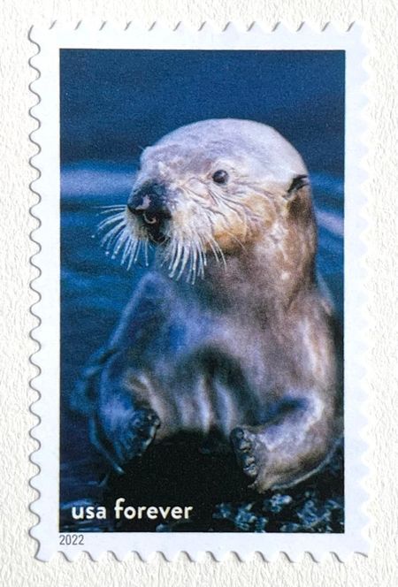 100 Otter Forever Stamps Unused Otter Postage Stamps for Mailing