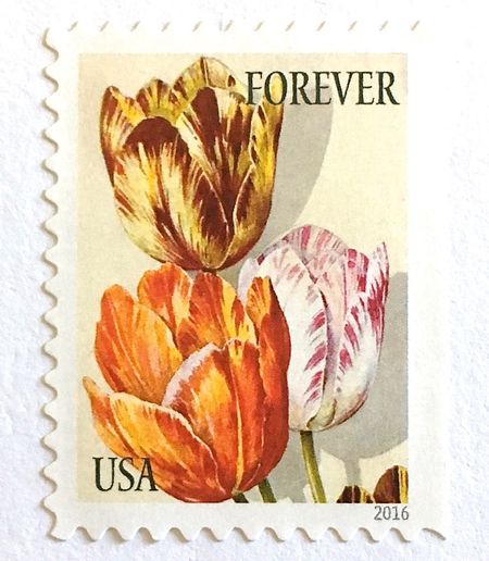 100 Forever Tulip Stamps Unused Vintage Print Tulips Postage Spring Orange Gold Pink Flower Garden Stamps for Mailing