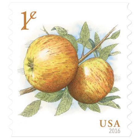 2100 Golden Apple Stamps Unused 1 Cent Apple Postage Stamps For Mailing Wedding Invitations or Cards