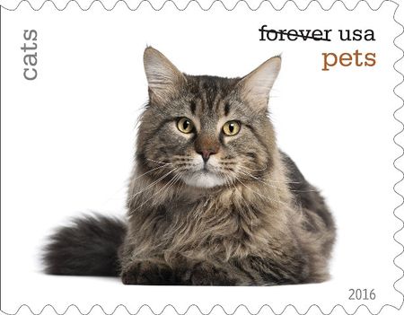 100 Cat Forever Stamps Pet Cats Unused Postage Stamps for Mailing