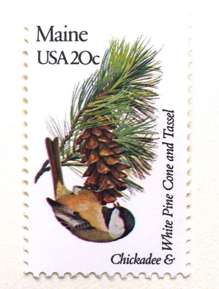 100 White Pine and Pinecone Postage Unused Vintage Maine Evergreen Stamps for Mailing Invitations