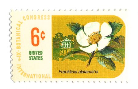 100 Vintage White Flower Blossom Stamps Unused 1969 Botanical Postage Stamps For Mailing