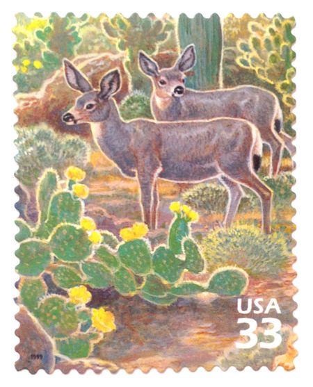 100 Deer Stamps Vintage Unused Cactus Desert Postage Stamps for Mailing