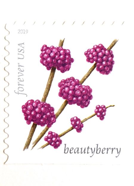 100 Pink Berry Forever Stamps Beautyberry Winter Berries Forever Fuchsia Berry Stamps for Mailing