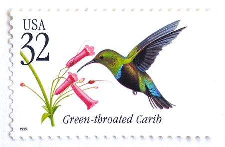 100 Vintage Hummingbird Stamps // Botanical Hummingbirds // Vintage Postage Stamps for Mailing