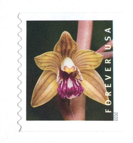 100 Orchid Forever Stamps Unused Gold Flower Forever Stamps for Mailing