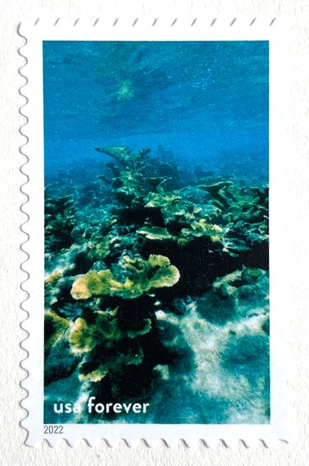 100 Blue Ocean Reef Forever Stamps Unused Nautical Postage for Mailing