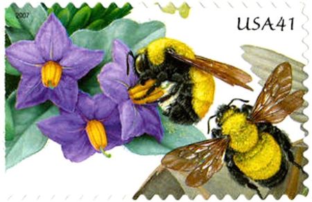 100 Bee Postage Stamps Unused Garden Bees Stamps // Honey Bee Postage for Mailing