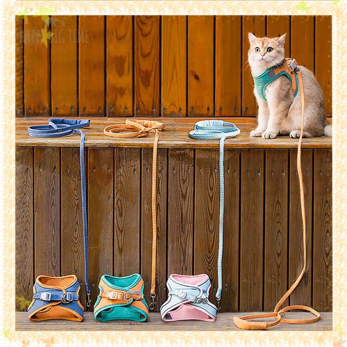 Pet Harness + Leash Set Training Walking Leads for Small Cats Dogs Floral Print Harness Collar Adjust Leashes Set